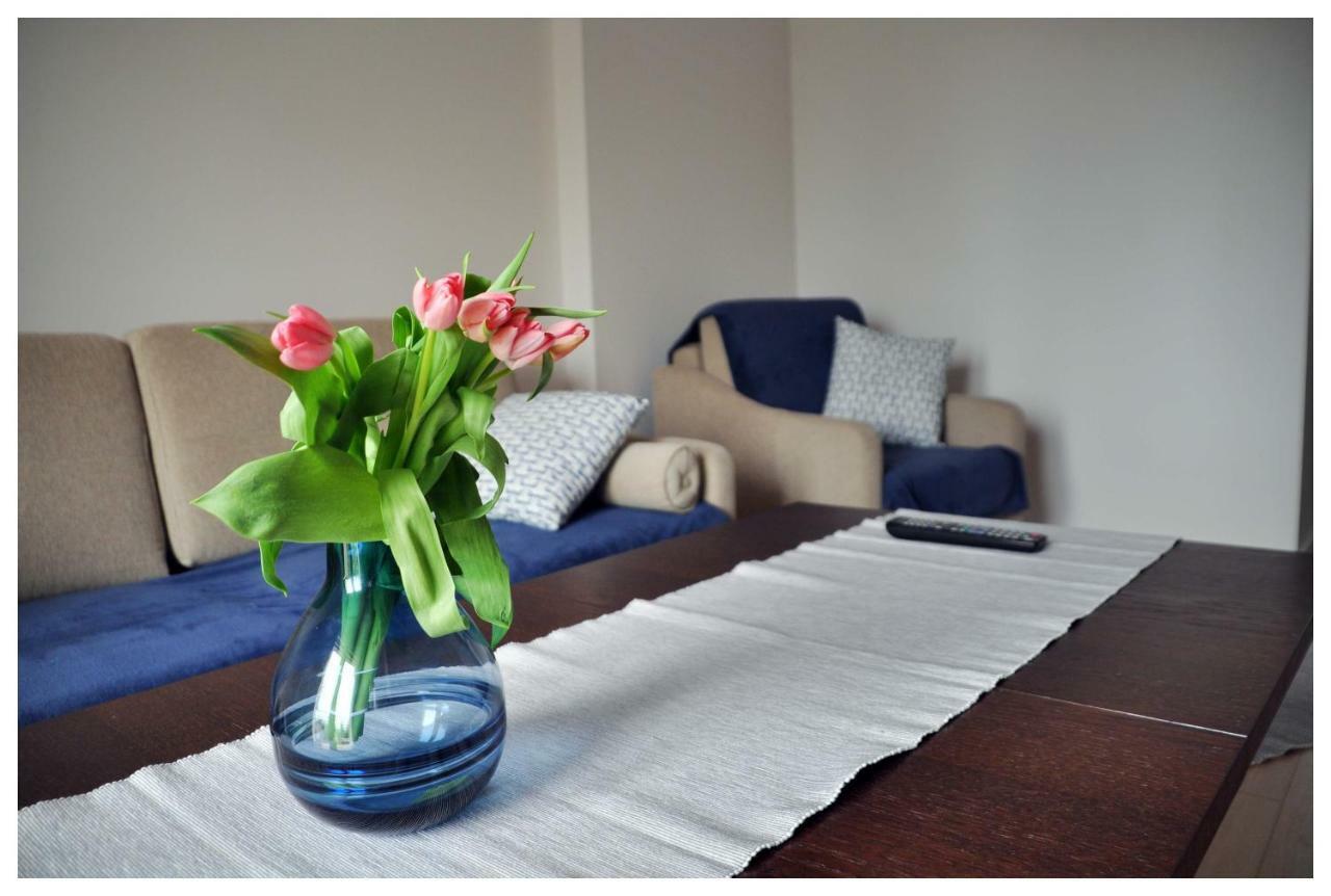 Color 24 Premium Appartement Stalowa Wola Buitenkant foto